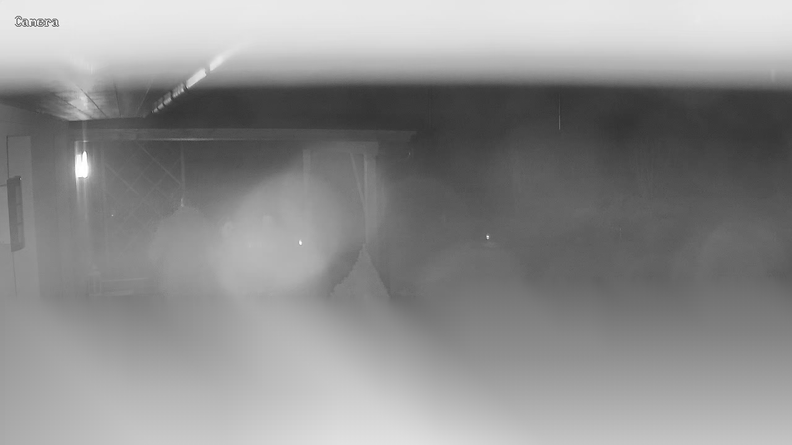 Latest Image
