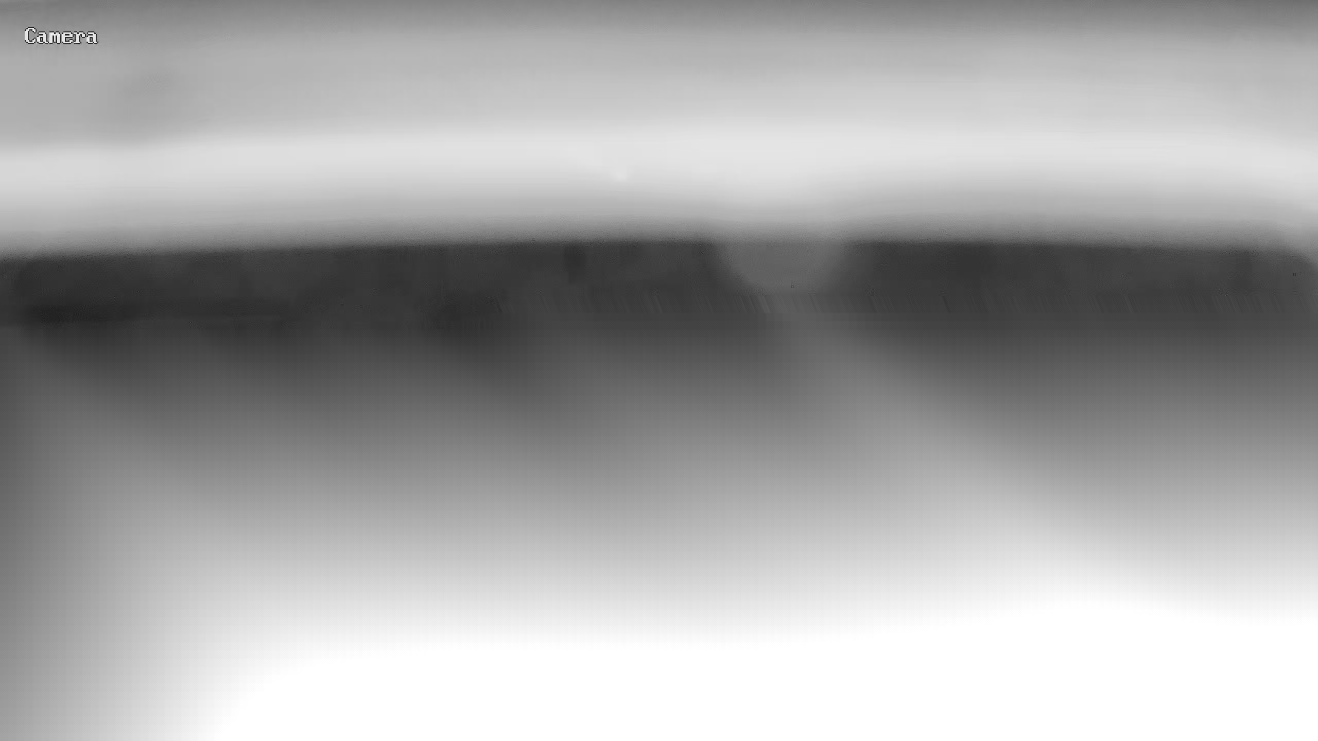 Latest Image