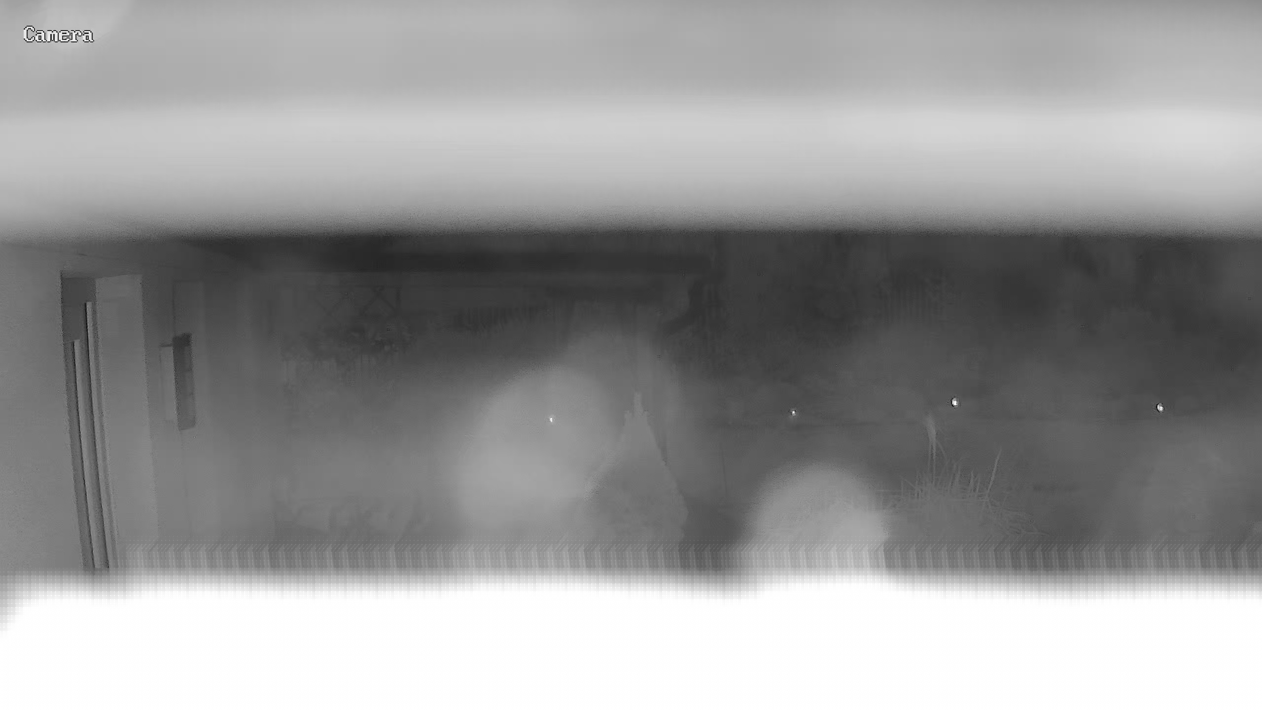 Latest Image